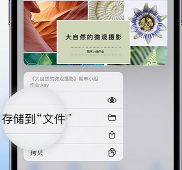 清徐apple维修中心分享iPhone文件应用中存储和找到下载文件