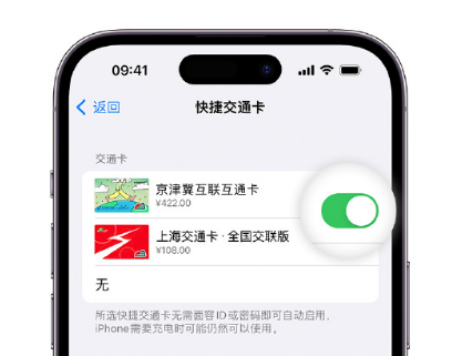 清徐apple维修点分享iPhone上更换Apple Pay快捷交通卡手绘卡面 