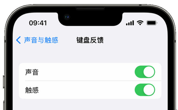 清徐苹果手机维修分享iPhone 14触感键盘使用方法 