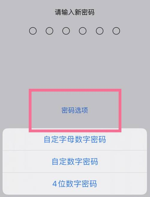 清徐苹果14维修分享iPhone 14plus设置密码的方法 