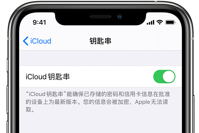 清徐苹果手机维修分享在 iPhone 上开启 iCloud 钥匙串之后会储存哪些信息 