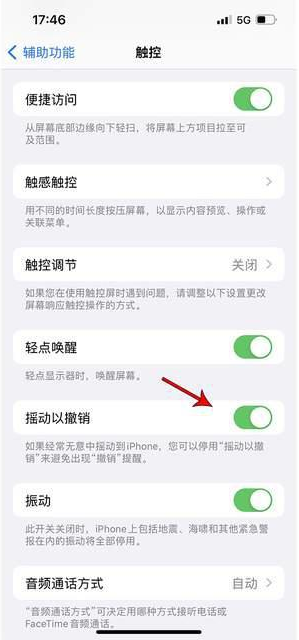 清徐苹果手机维修分享iPhone手机如何设置摇一摇删除文字 